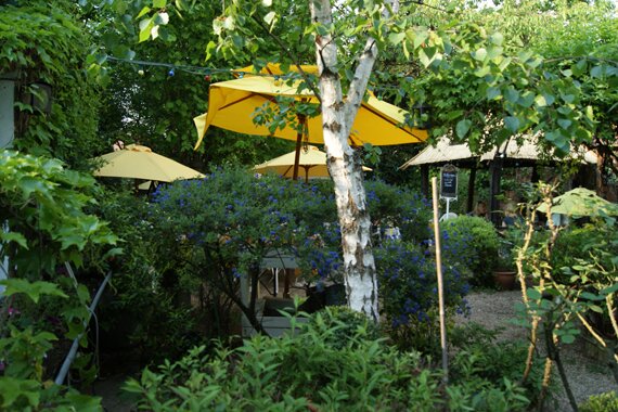 Restaurant LE VERGER - un jardin avec une importante verdure.